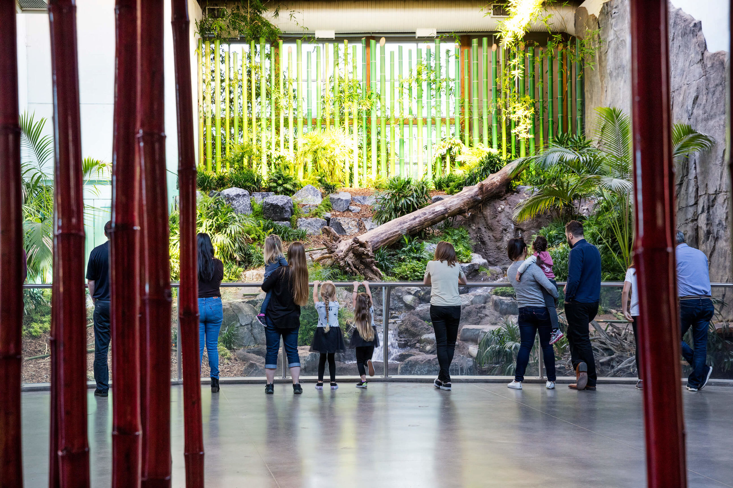 calgary zoo panda passage